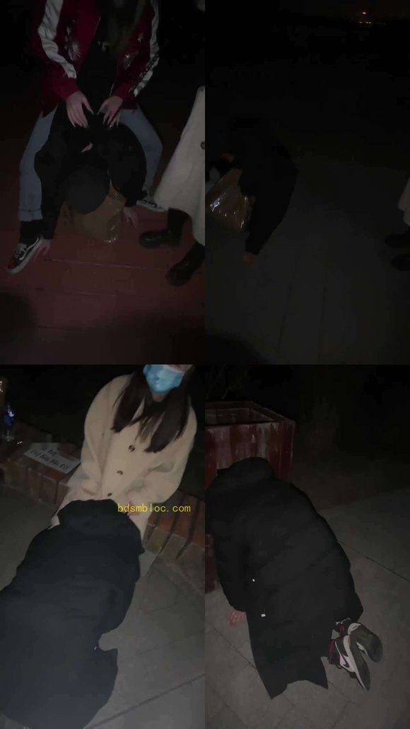 【樱木花椒】和闺蜜深夜户外溜家奴