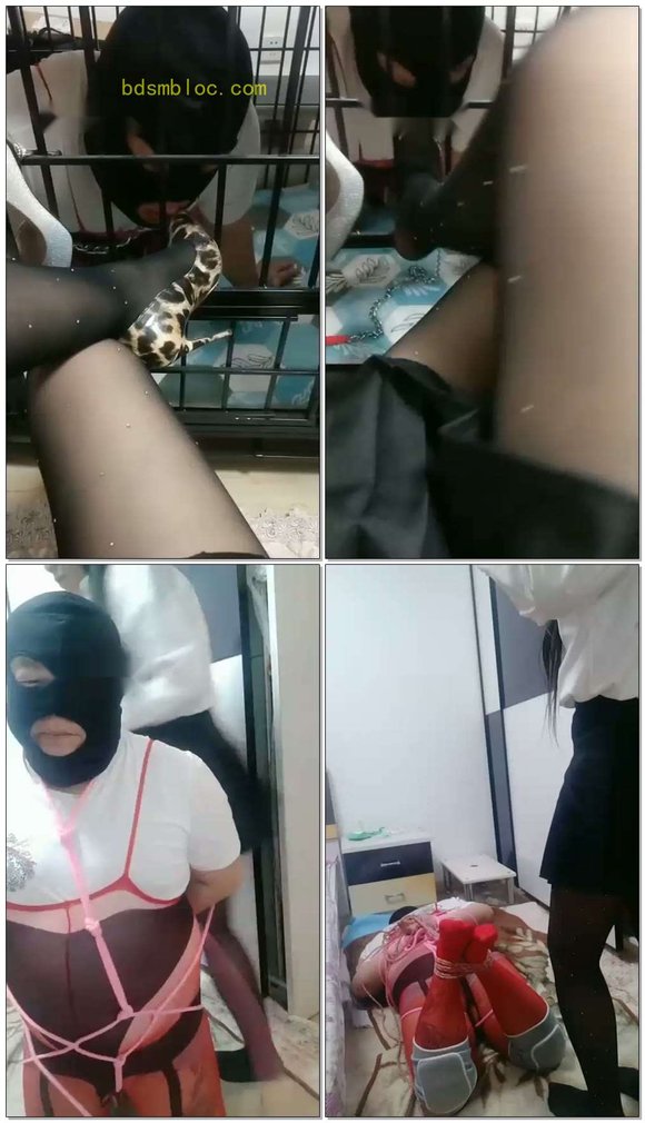 【蓝蝶魅主】午夜虐狗