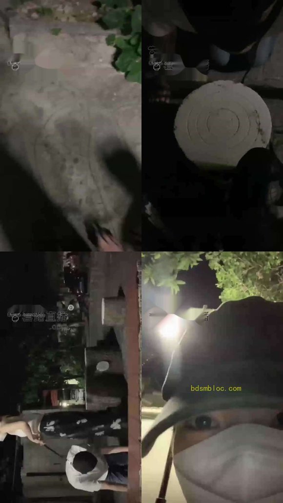 【宝爷Li】户外遛狗