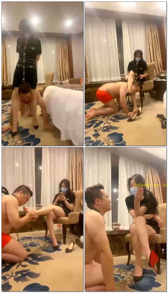 【猫禾虞的滔滔】禾未主人玩贱狗滔