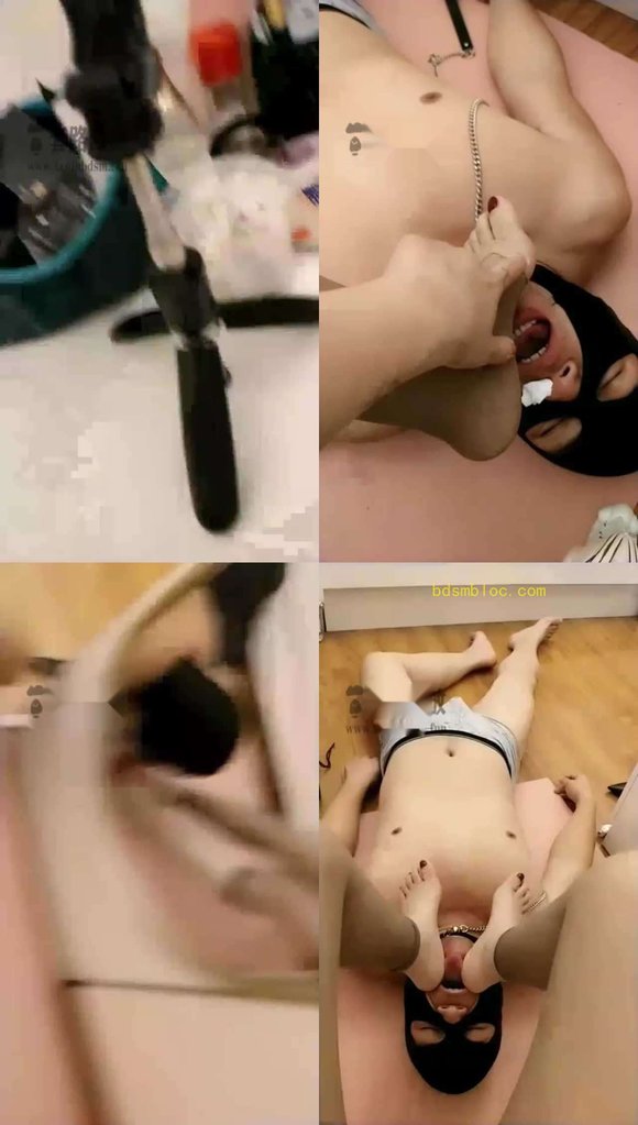 【京S维维】恋味僻狗