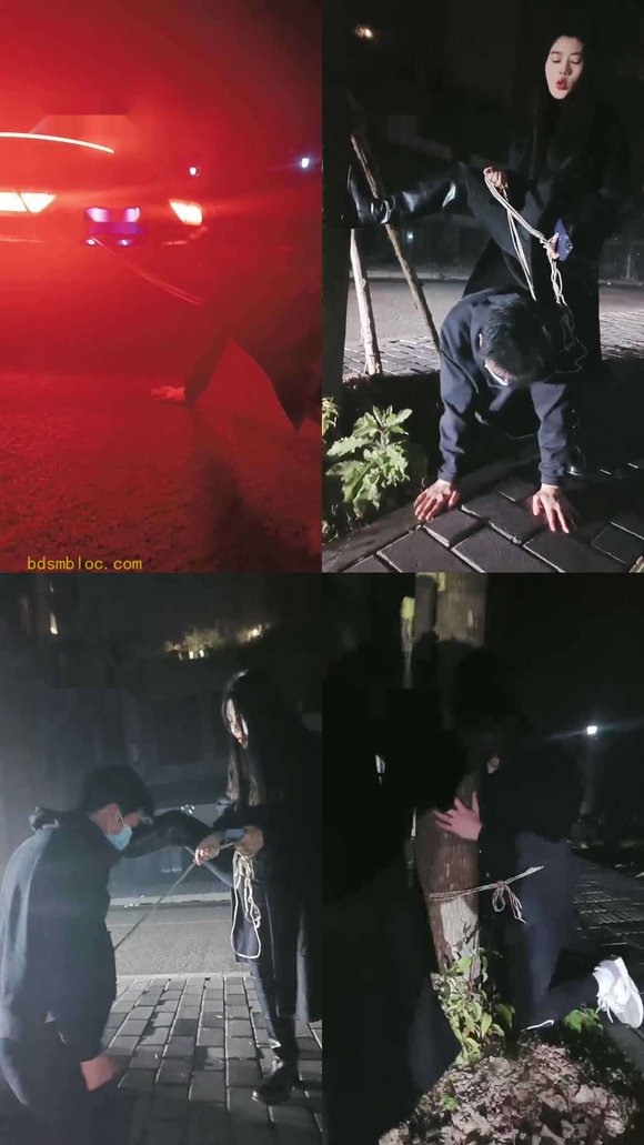 【昭玥】夜调-开车遛狗/骑马钻胯/绑树耳光