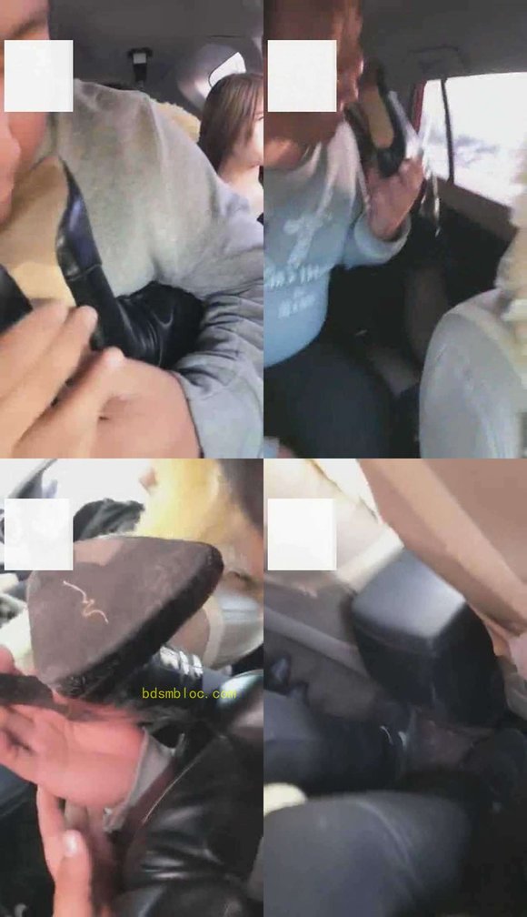 【冷柔】【冷柔S】双主车内玩舔靴狗