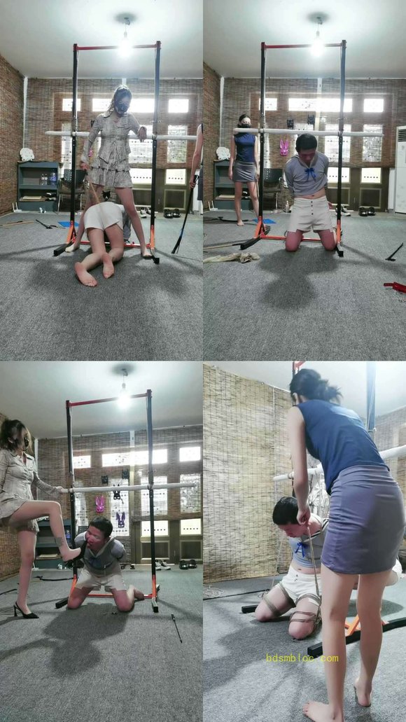 【邯郸媚娘工作室】双女主虐狗随意发挥