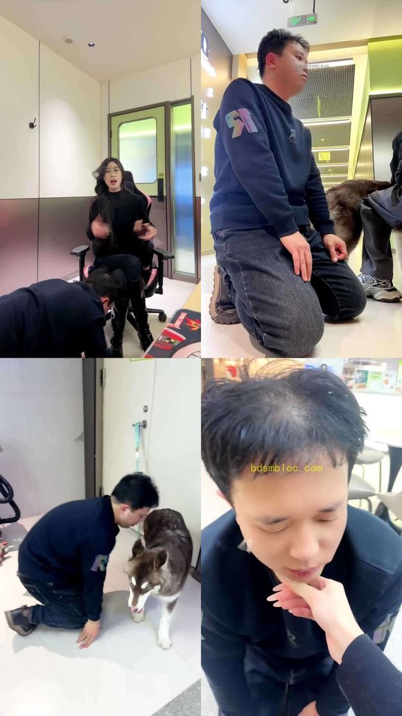 【西彤s】网吧户外调贱狗