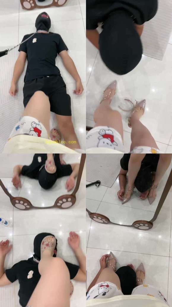 【苏州菜香香s】调狗