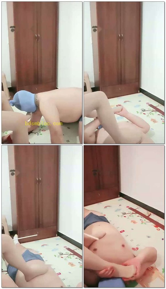 【红丽S】第一次被调的狗，肉丝