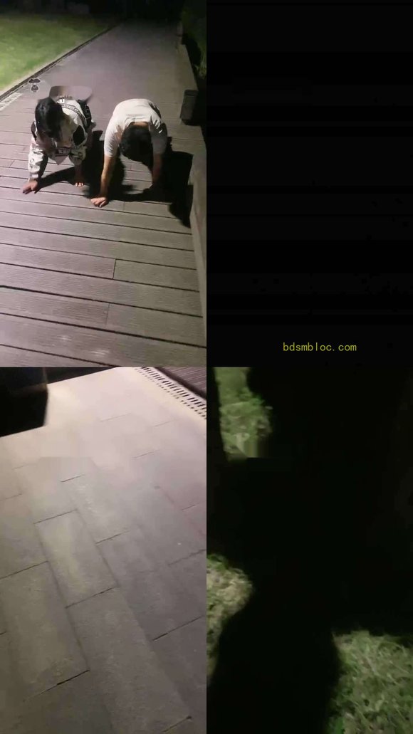 【雨琦】车模深夜户外遛狗