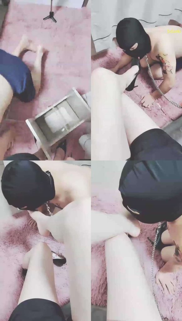 【灵竹】家狗训练，灵魂洗礼