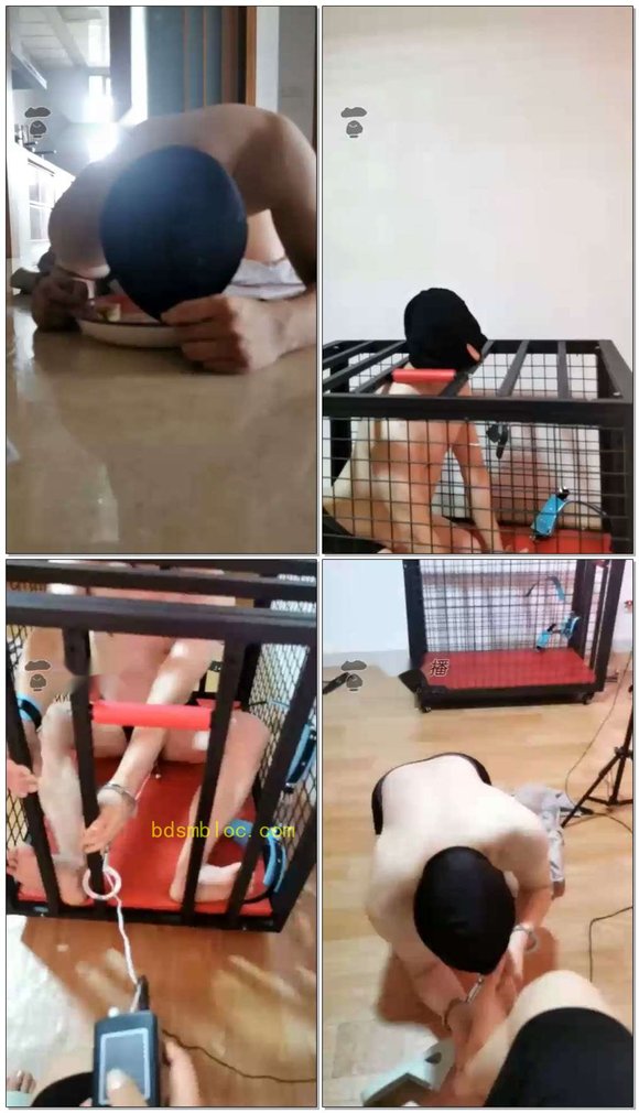 【s夏夏绳缚】大早上的就要喝圣水