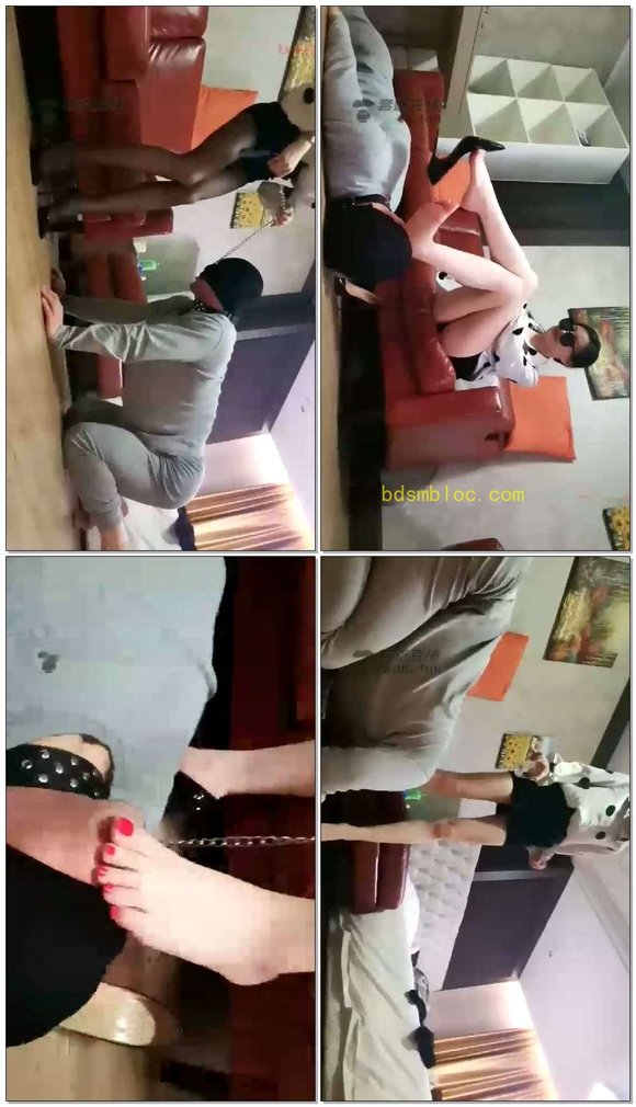 【苏曼】苏老师训练狗深喉舔脚