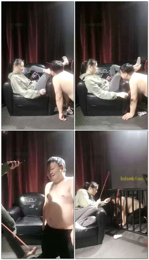【豆儿大人】一直可爱的小狗