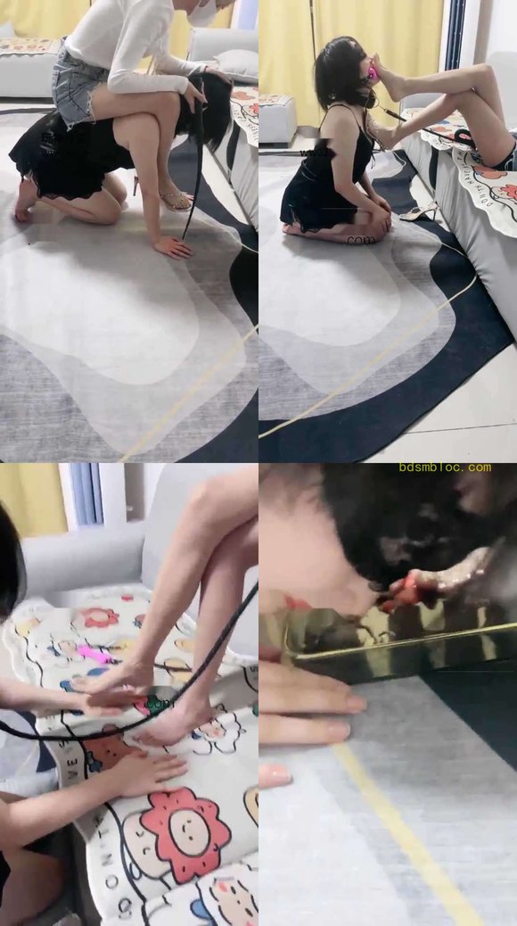 【司藤】日常训母畜
