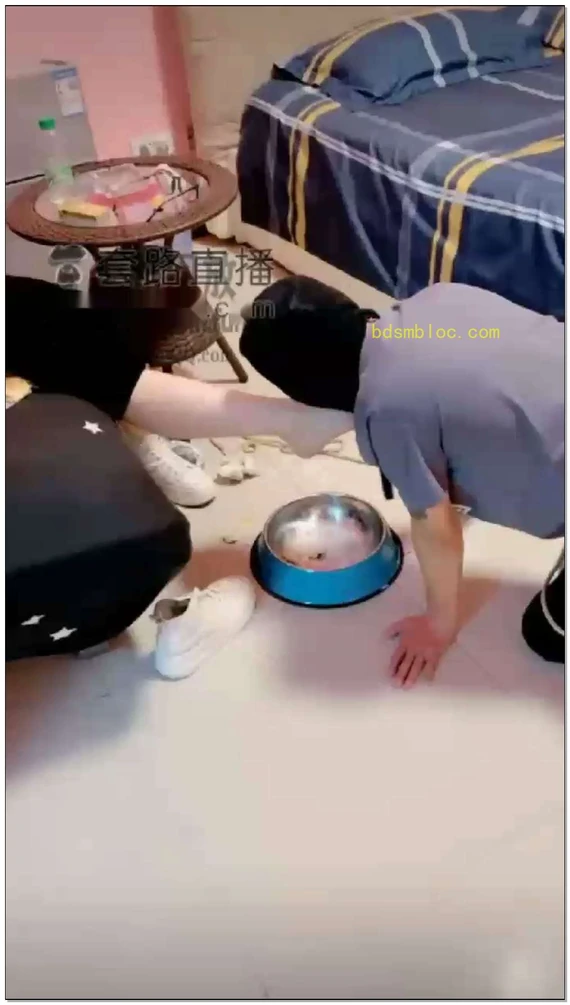 【夏娃】全体重吃食，鞭打，提档，羞辱，烟灰缸