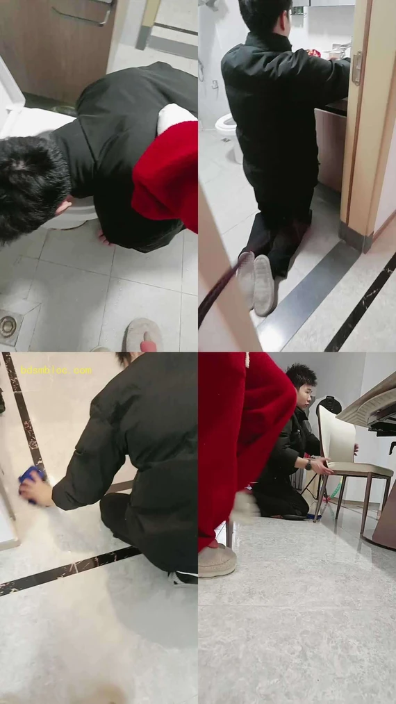 【薇薇情侣主】家奴跪舔马桶