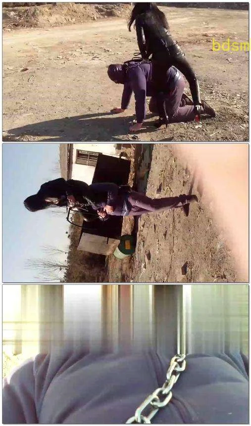 【安雅女主】经典野外驯马