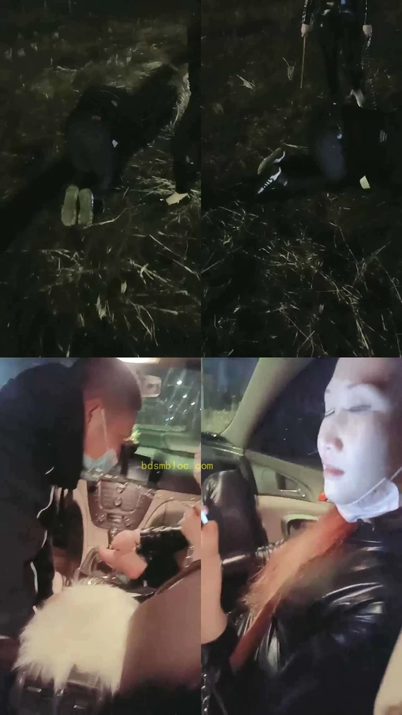 【高冷范毒祖宗S】户外草地捆绑羞辱贱狗