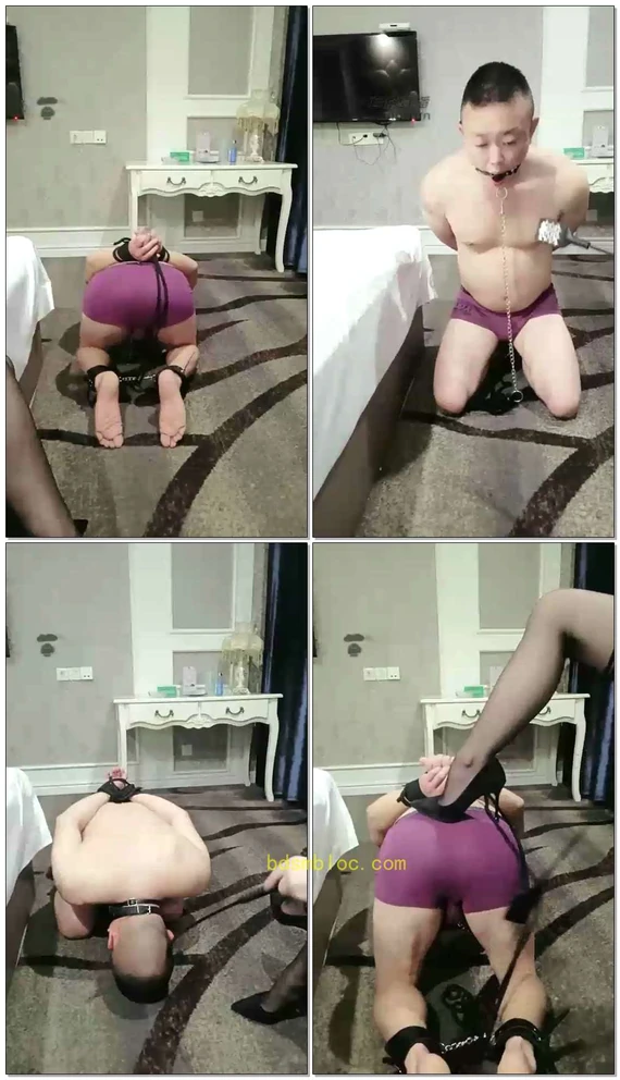 【武则天S】贱狗捆绑鞭打调教