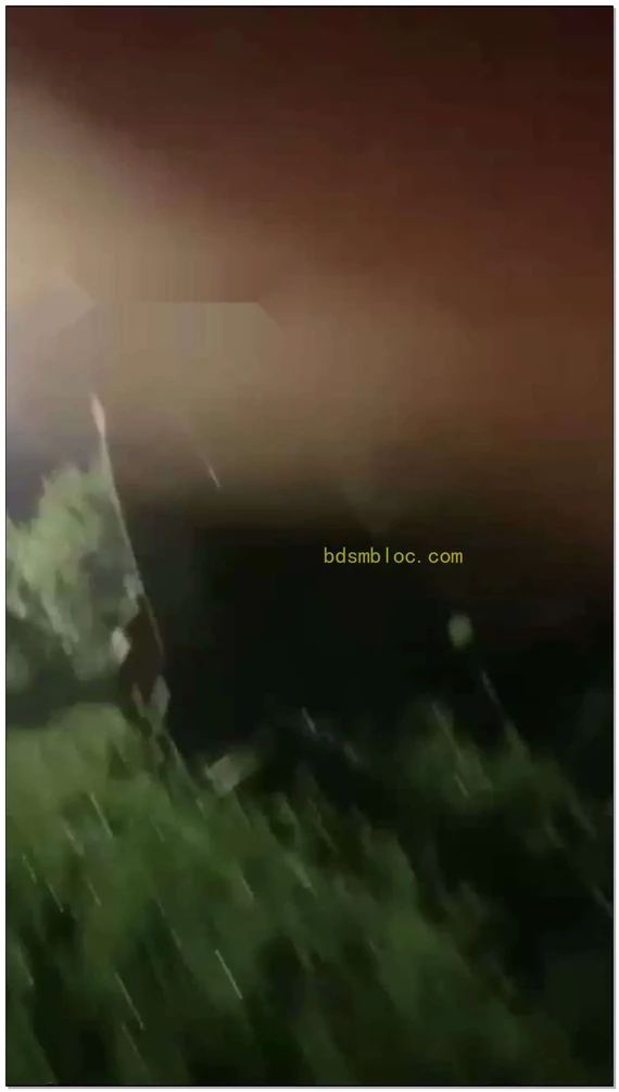 【予涵S】深夜户外调