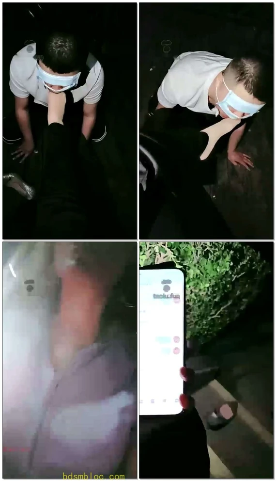 【林夕女王】公园边玩贱狗舔鞋舔肉丝