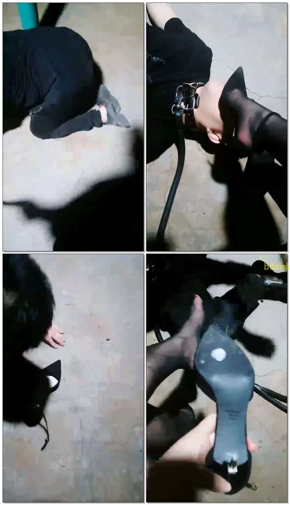 【丝皇女王】户外课玩圈养狗