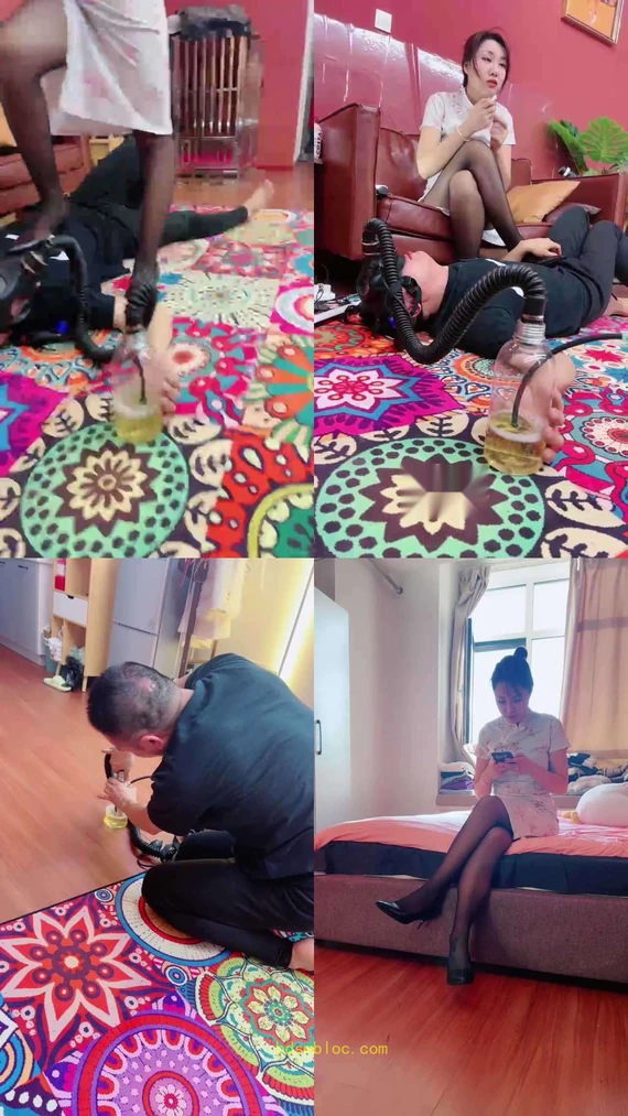 【承诺】惩罚不听话的狗