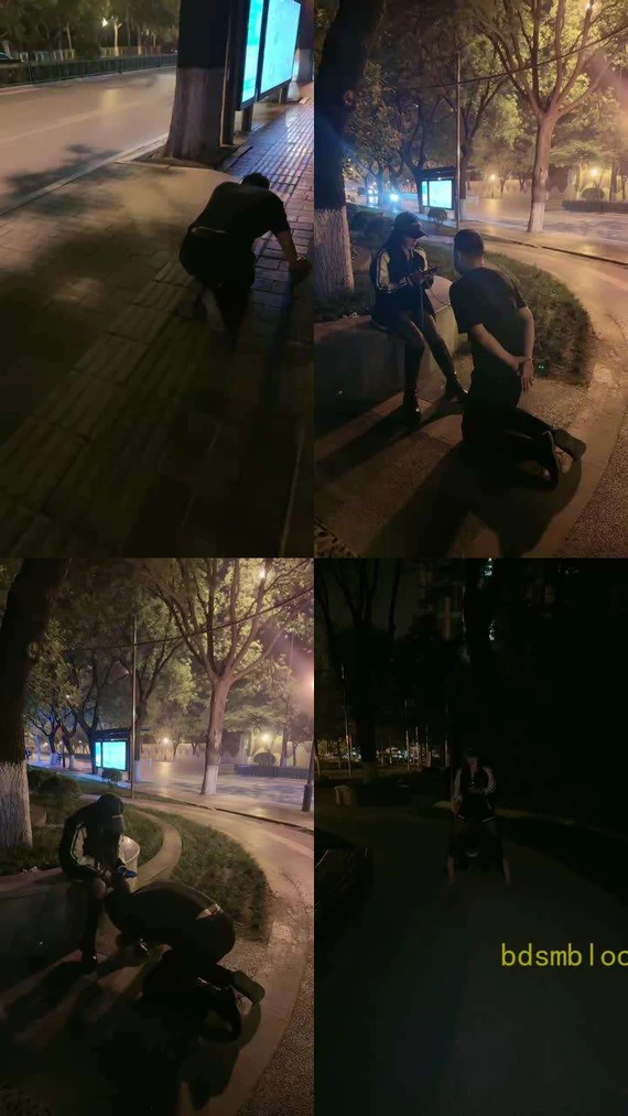 【傲雪】深夜户外遛狗犬化训练