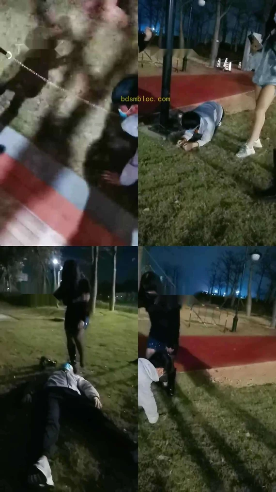 【丹祖宗】双S户外遛狗专场