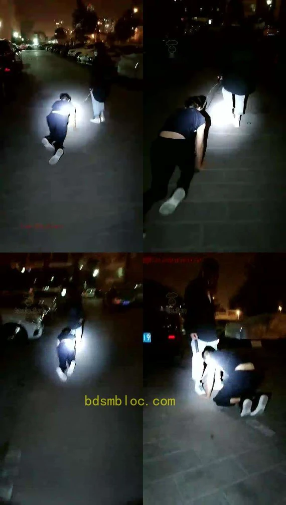 【千羽S】小区遛狗玩