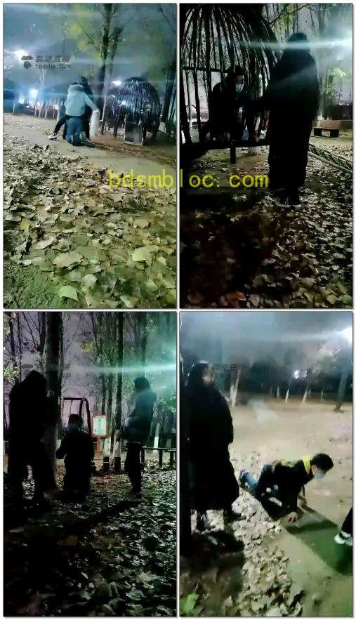 【笨笨狼】户外双主训狗
