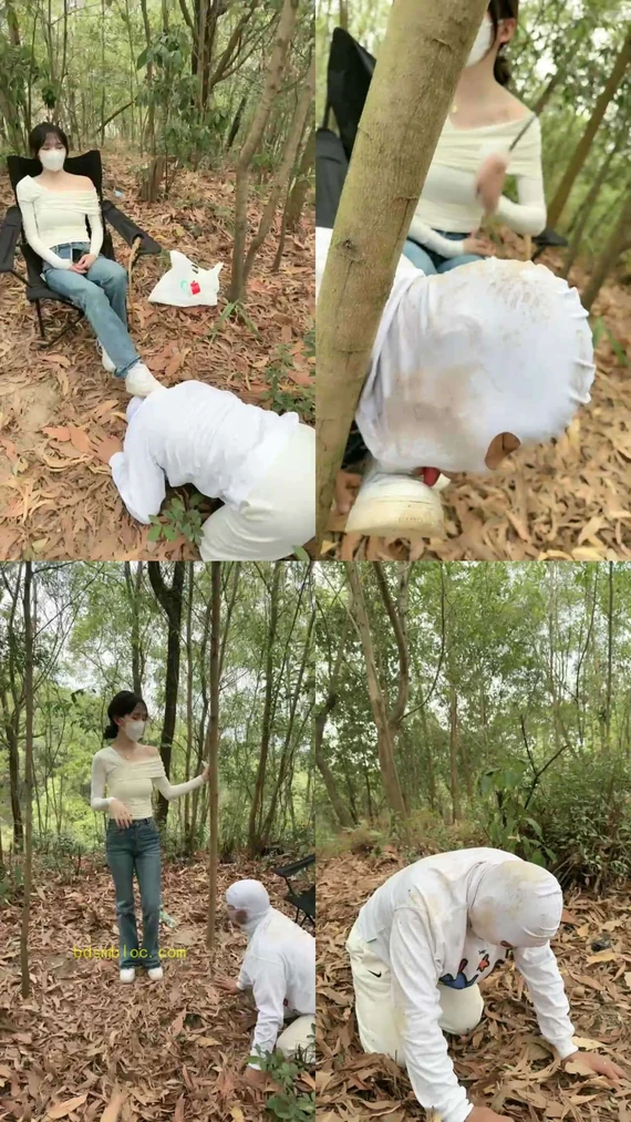 【暴主s】户外马桶开发